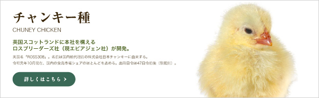 ����󥭡���