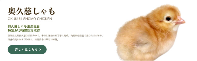 ���׻������